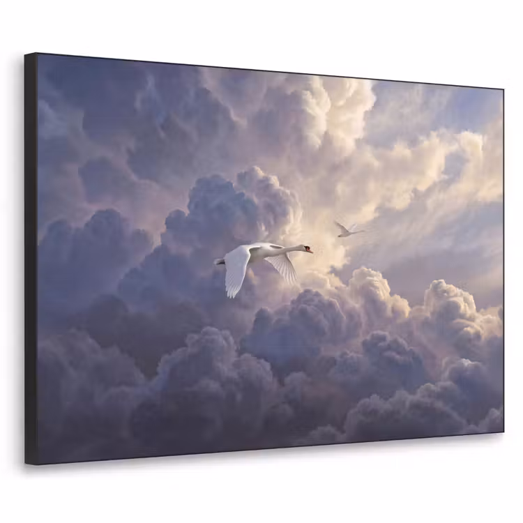 Art Frame - Vogel - Vliegend - Natuur - Wit - Wolken — 1