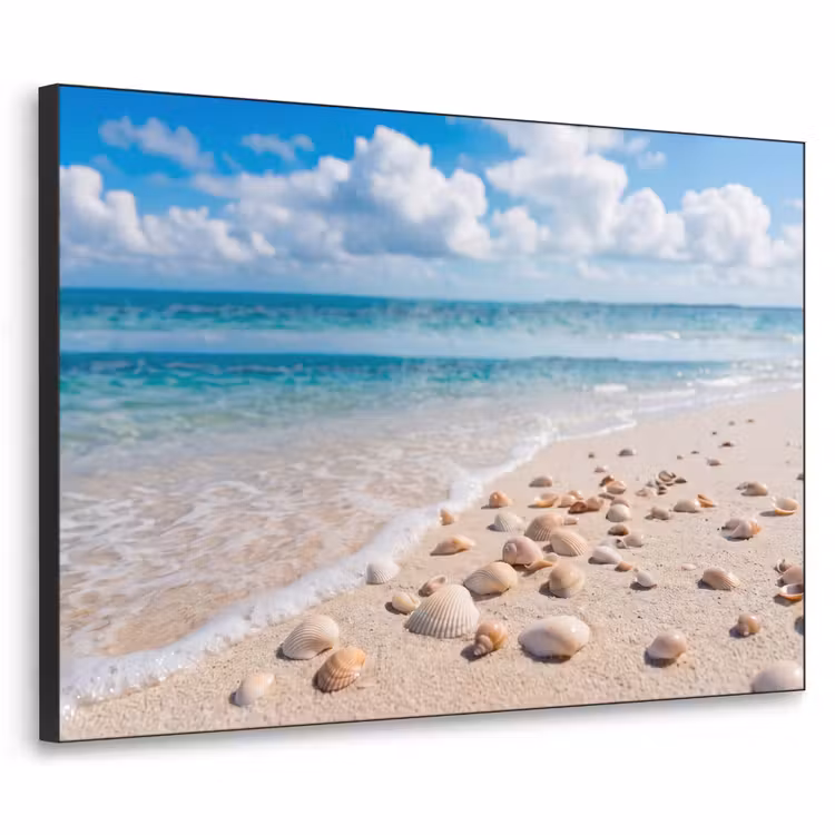 Art Frame - Schelpen - Strand - Natuur - Beige — 1