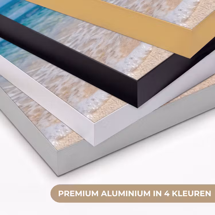 Art Frame - Schelpen - Strand - Natuur - Beige — 5