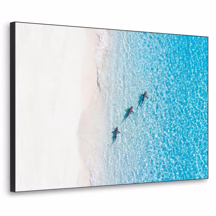 Art Frame - Vis - Oceaan - Strand - Turquoise - Natuur — 1