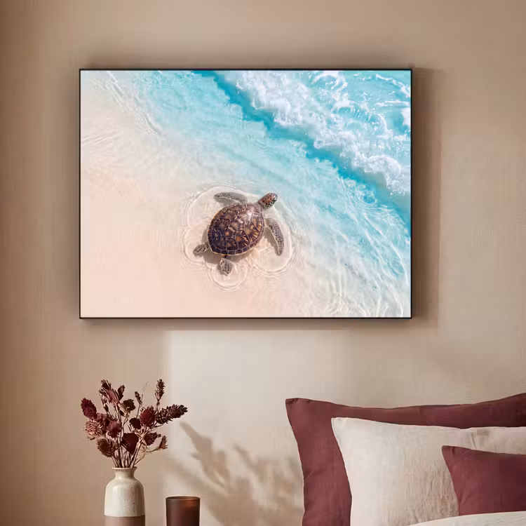 Art Frame - Schildpad - Helder water - Strand - Dieren - Natuur — 2