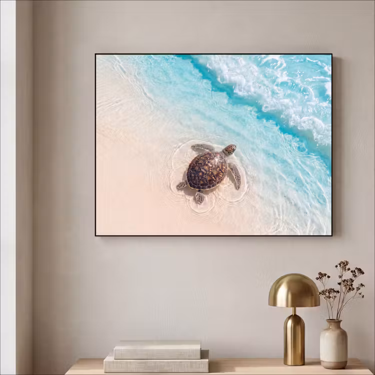 Art Frame - Schildpad - Helder water - Strand - Dieren - Natuur — 3