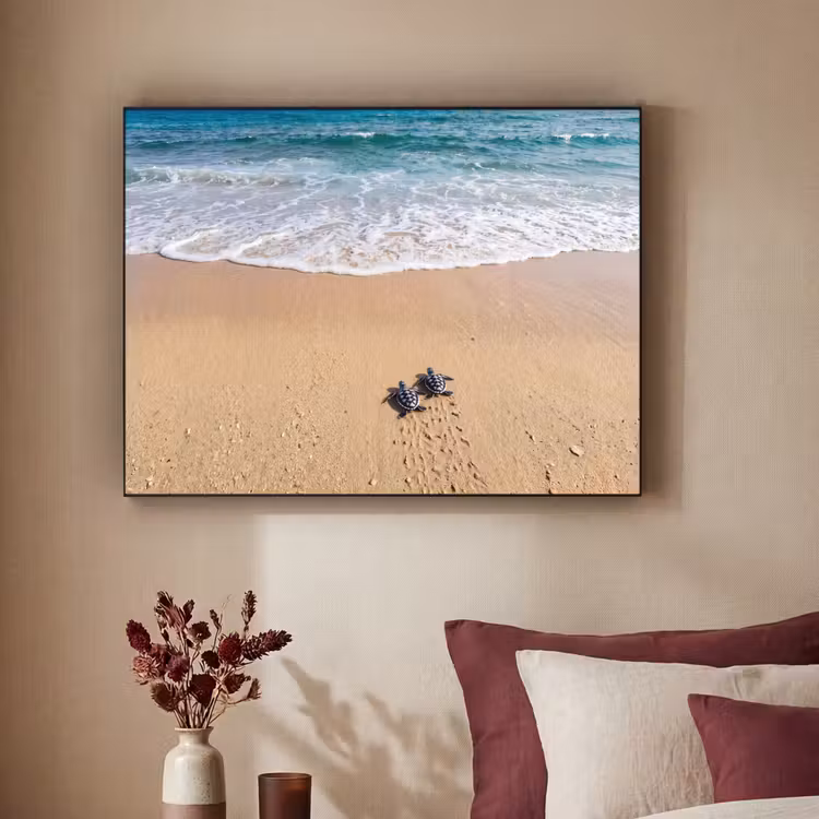 Art Frame - Schildpad - Jong - Strand - Oceaan - Blauw — 2