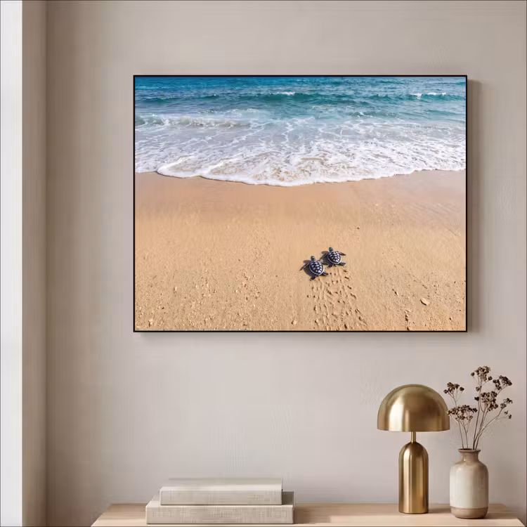 Art Frame - Schildpad - Jong - Strand - Oceaan - Blauw — 3