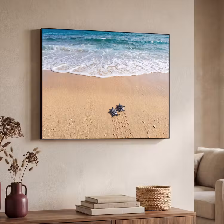 Art Frame - Schildpad - Jong - Strand - Oceaan - Blauw — 4