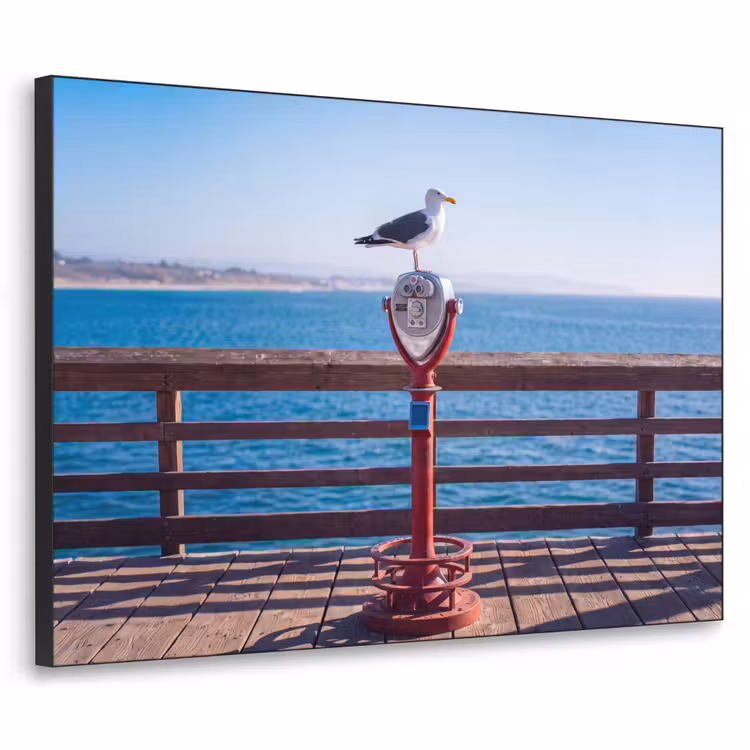 Art Frame - Vogel - Verrekijker - Kust - Zee - Blauw — 1