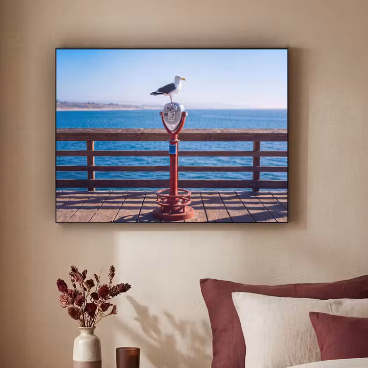 Art Frame - Vogel - Verrekijker - Kust - Zee - Blauw — 2