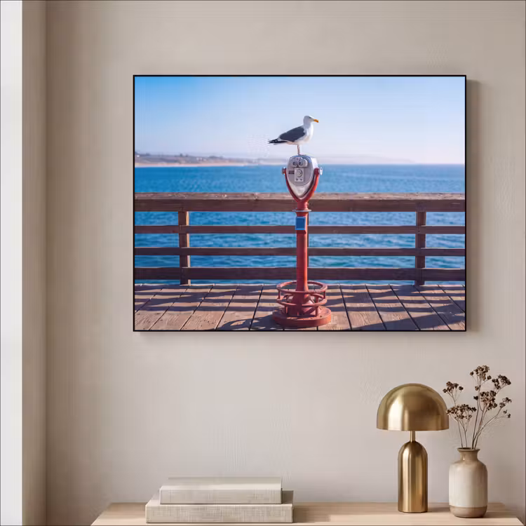 Art Frame - Vogel - Verrekijker - Kust - Zee - Blauw — 3