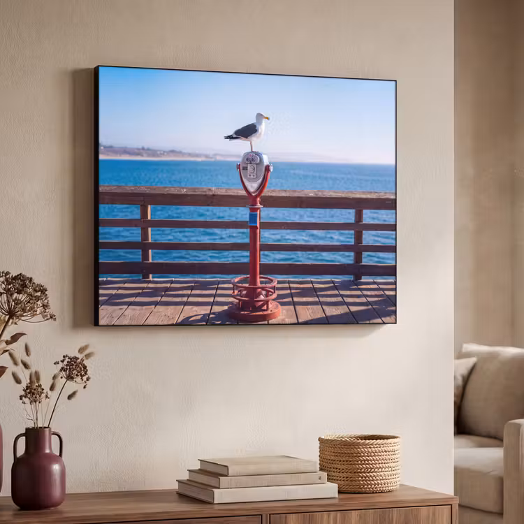 Art Frame - Vogel - Verrekijker - Kust - Zee - Blauw — 4