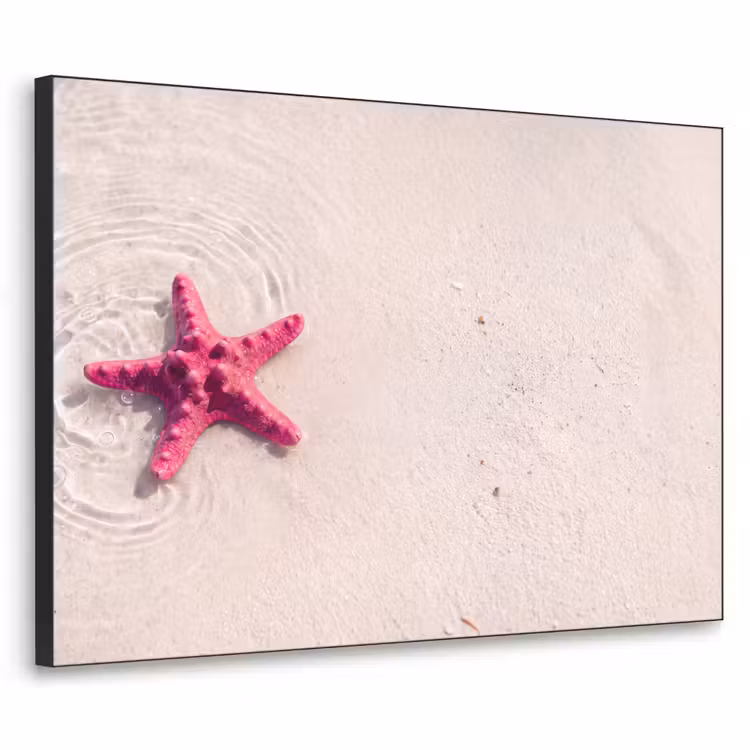 Art Frame - Zeeleven - Zeester - Strand - Roze - Water — 1