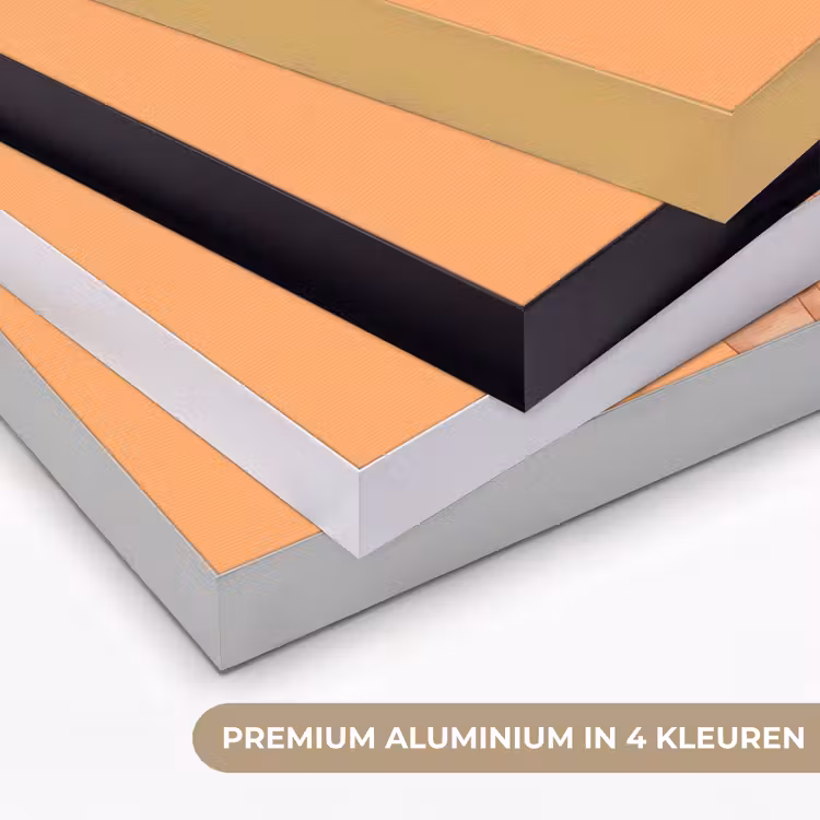 Art Frame - Vrouw - Profiel - Mensen - Modern - Oranje — 5
