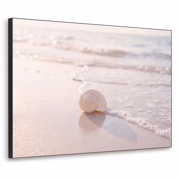 Art Frame - Zeeschelp - Strand - Zee - Natuur - Beige — 1
