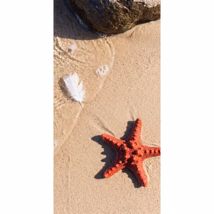 Behang - Dieren - Strand - Zee - Natuur - Rood — 2