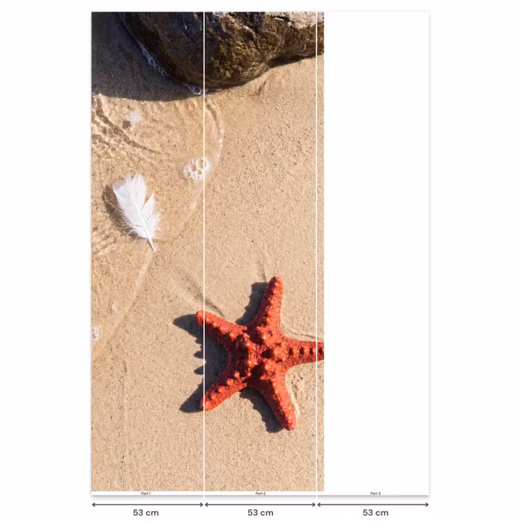 Behang - Dieren - Strand - Zee - Natuur - Rood — 6