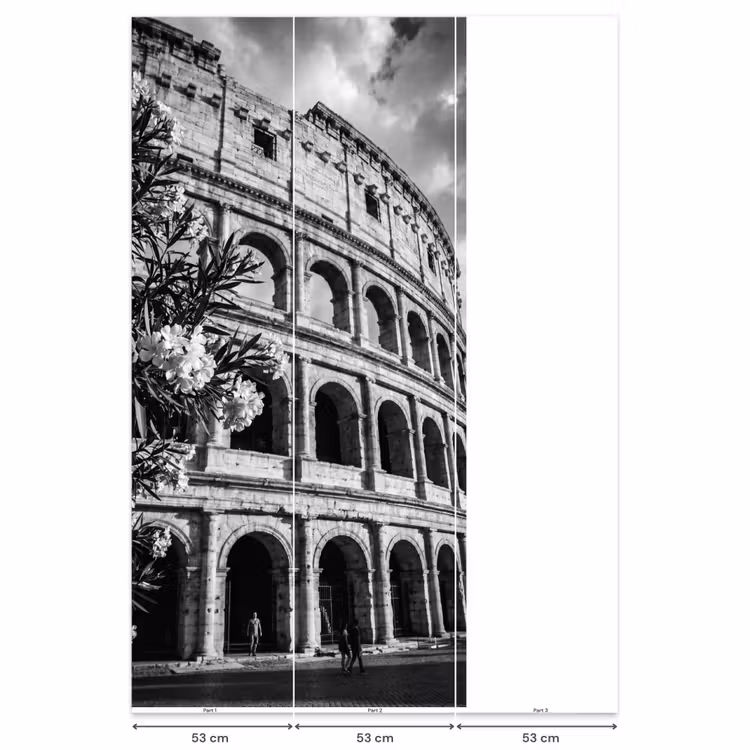 Behang - Architectuur - Colosseum - Rome - Historisch - Zwart-wit — 6