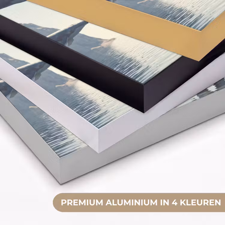 Art Frame - Ruimtevaarder - Walvis - Fantasie — 5