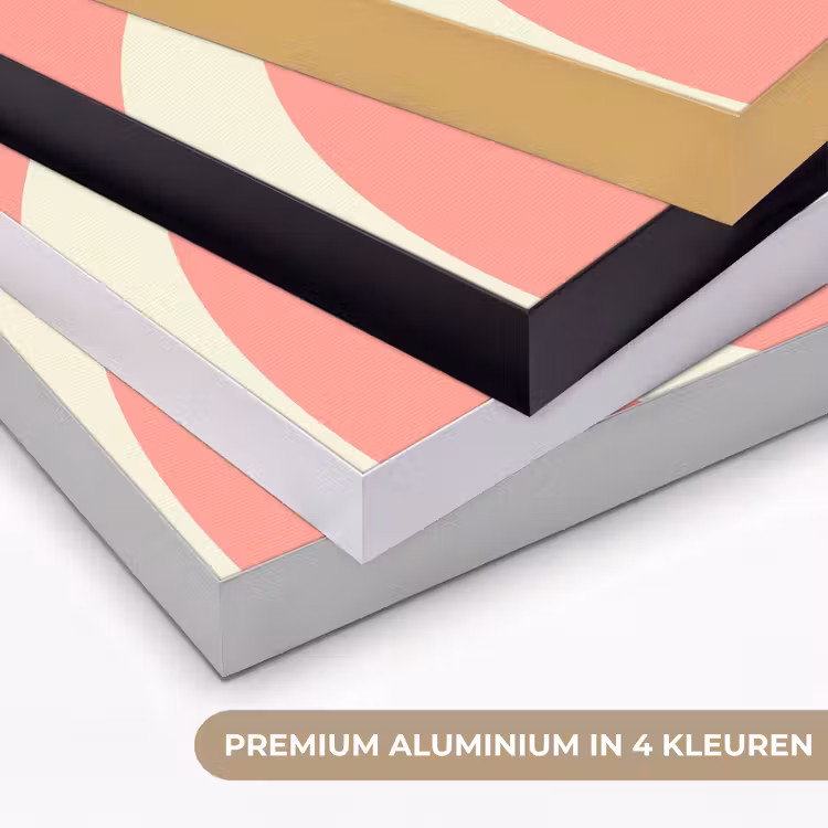 Art Frame - Spiraal - Patroon - Abstract - Roze - Beige — 5