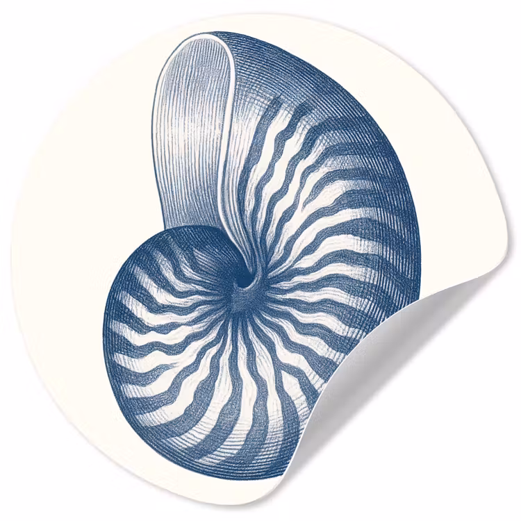 Behangcirkel - Blauw - Schelp - Spiraal — 1