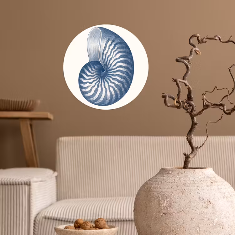 Behangcirkel - Blauw - Schelp - Spiraal — 2