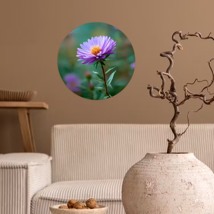 Behangcirkel - Aster - Paars - Bloem - Blaadjes — 2