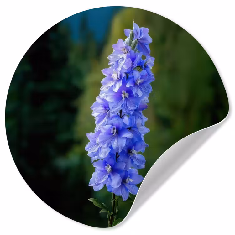 Behangcirkel - Bloemen - Blauw - Dennenboom — 1