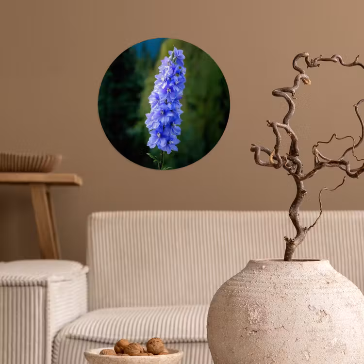 Behangcirkel - Bloemen - Blauw - Dennenboom — 2