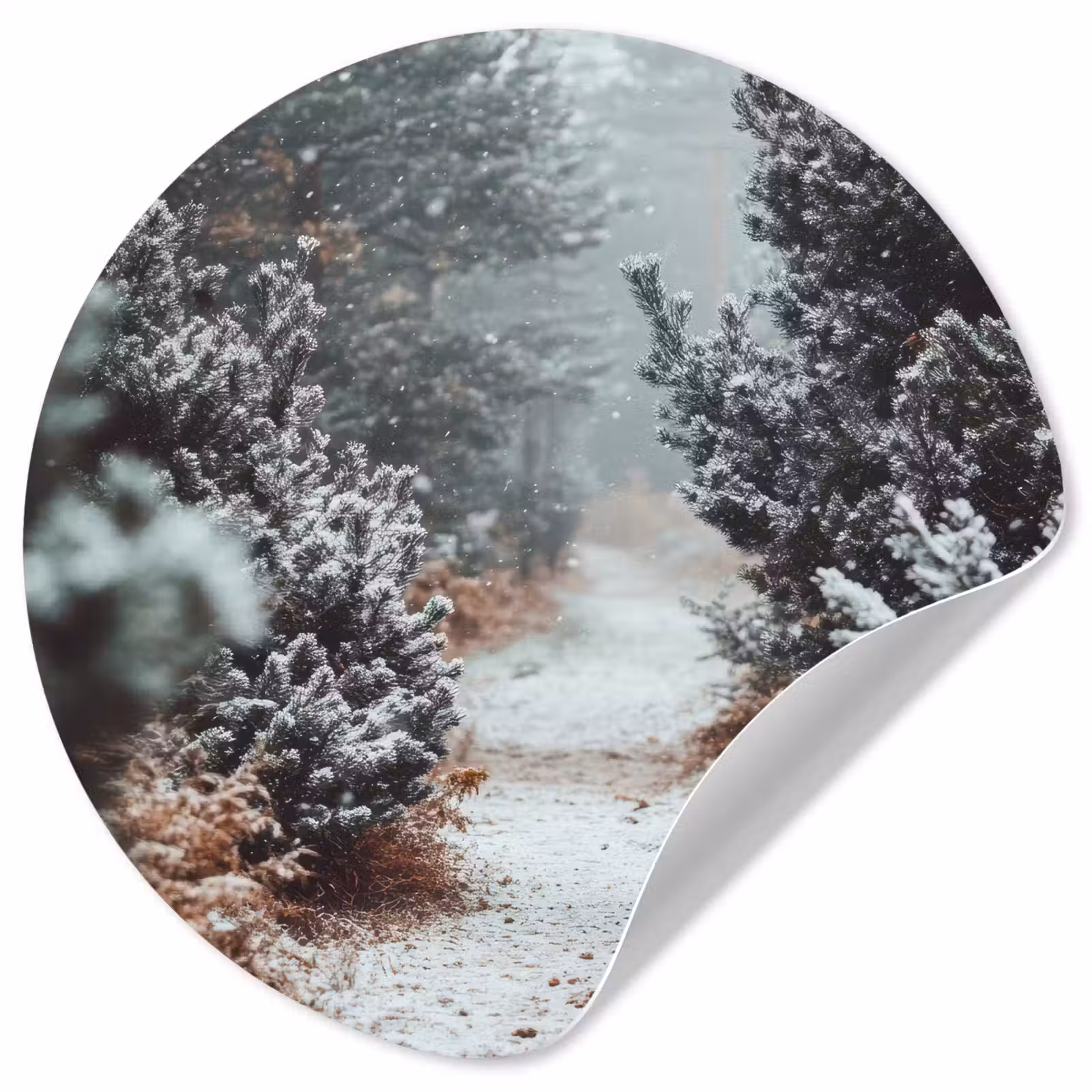 Behangcirkel - Bos - Winter - Bomen - Natuur - Pad - Sneeuw — 1