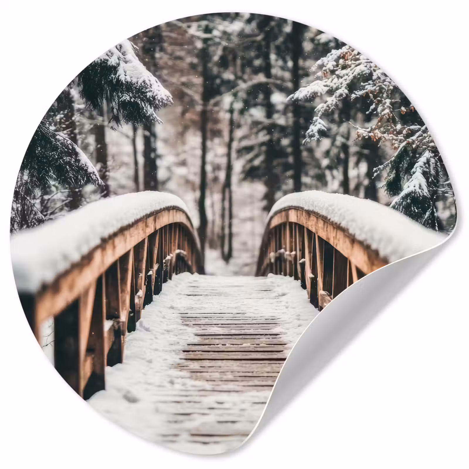 Behangcirkel - Brug - Winterlandschap - Bos - Natuur - Sneeuw — 1