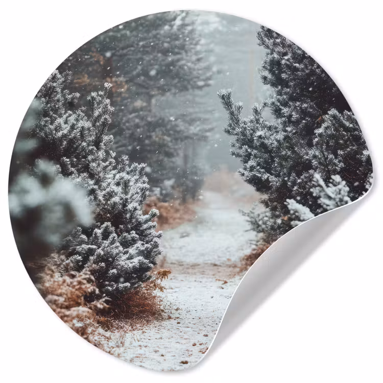 Behangcirkel - Bos - Winter - Bomen - Natuur - Pad - Sneeuw — 1