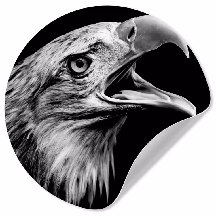 Behangcirkel - Adelaar - Portret - Roofvogels - Zwart - Wit - Vogel — 1