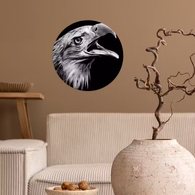 Behangcirkel - Adelaar - Portret - Roofvogels - Zwart - Wit - Vogel — 2