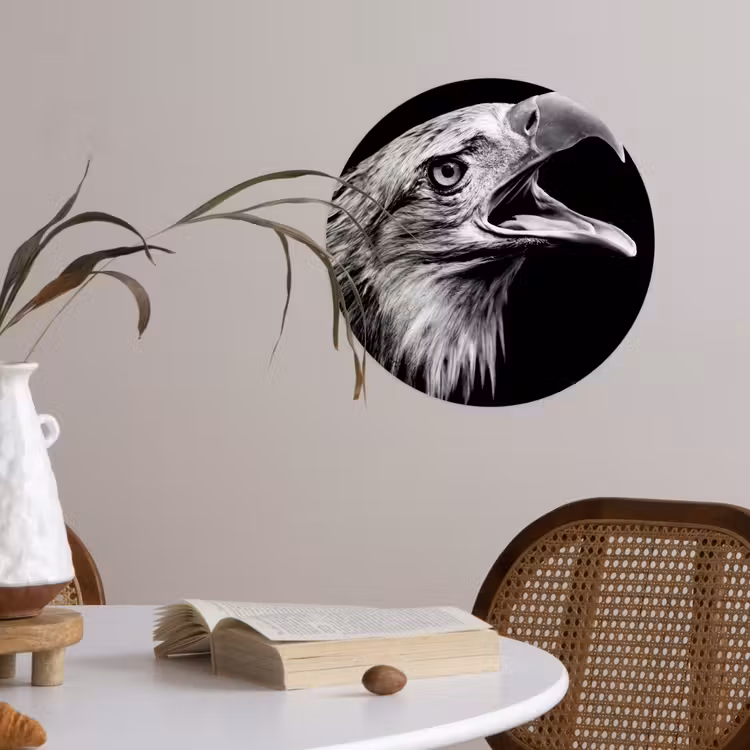 Behangcirkel - Adelaar - Portret - Roofvogels - Zwart - Wit - Vogel — 4