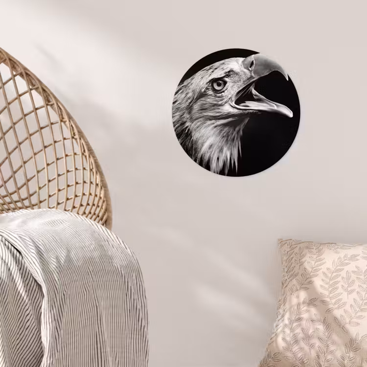 Behangcirkel - Adelaar - Portret - Roofvogels - Zwart - Wit - Vogel — 5