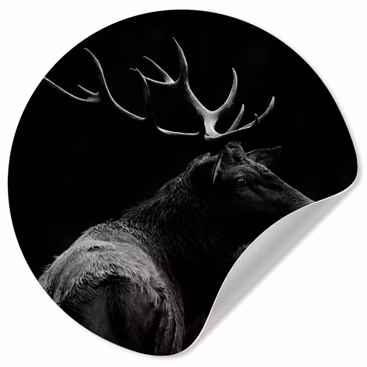 Behangcirkel - Hert - Zwart - Portret - Gewei - Dieren — 1