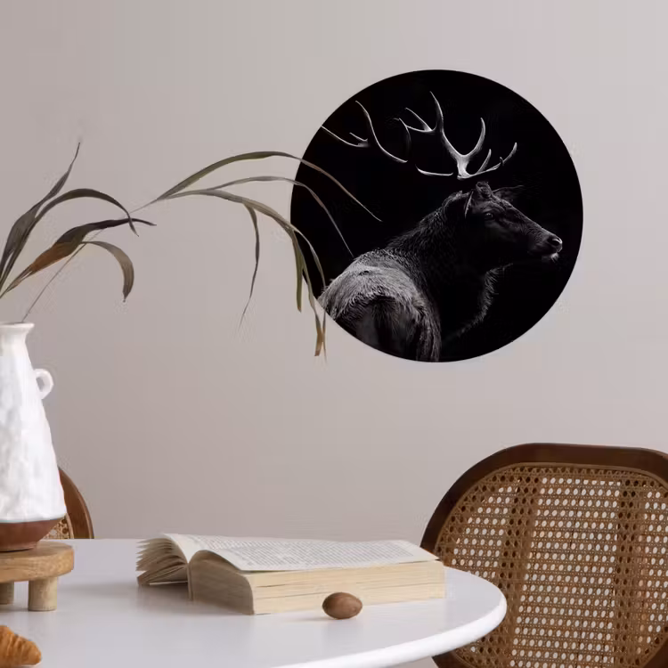 Behangcirkel - Hert - Zwart - Portret - Gewei - Dieren — 4