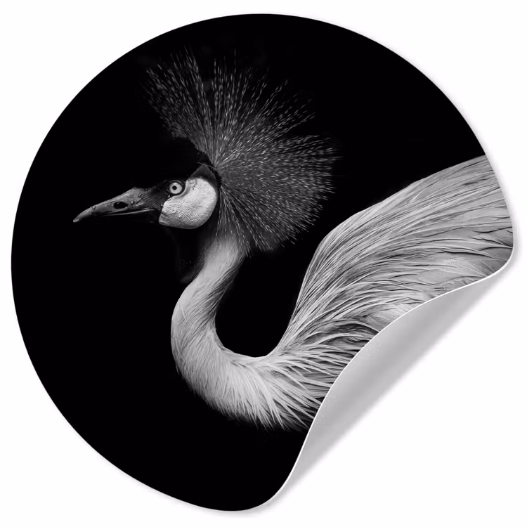 Behangcirkel - Kraanvogel - Zwart - Wit - Vogel - Dieren — 1