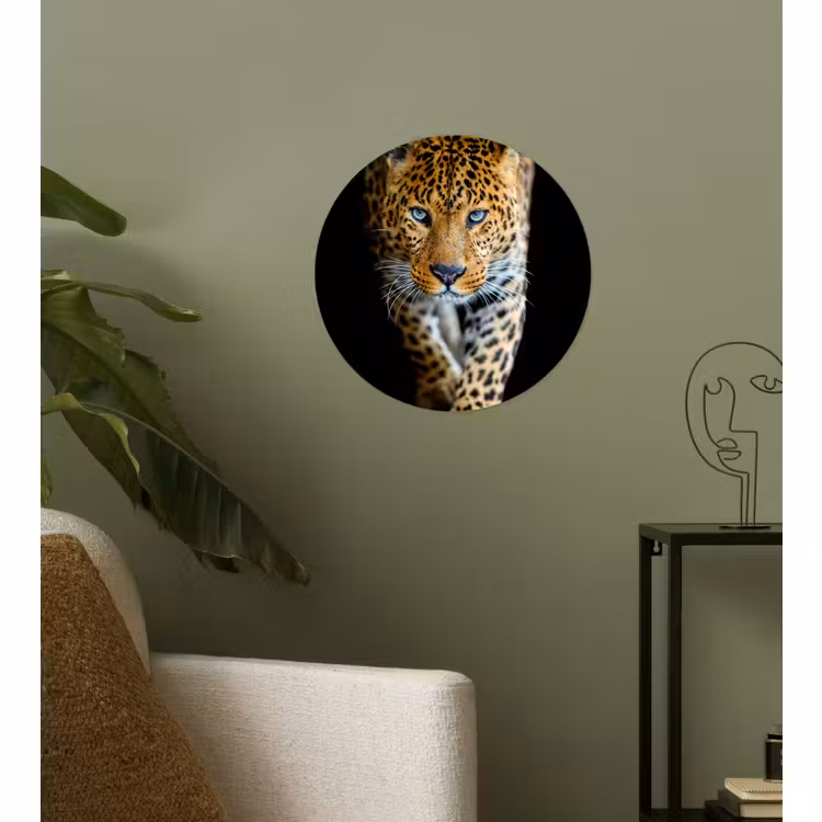Behangcirkel - Luipaard - Dieren - Portret - Wilde dieren - Zwart — 3