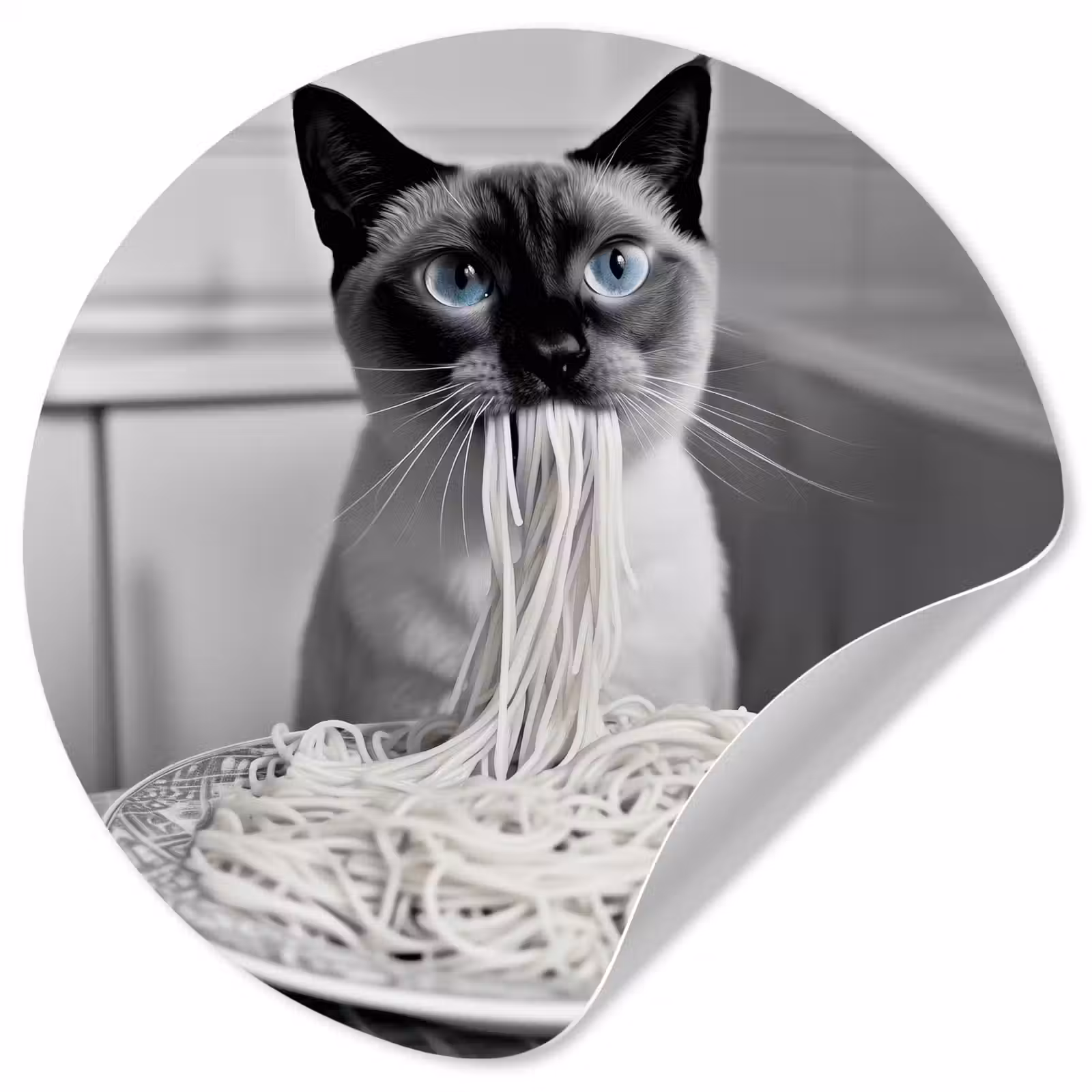 Behangcirkel - Kat - Siamees - Zwart Wit - Schattig - Dieren — 1