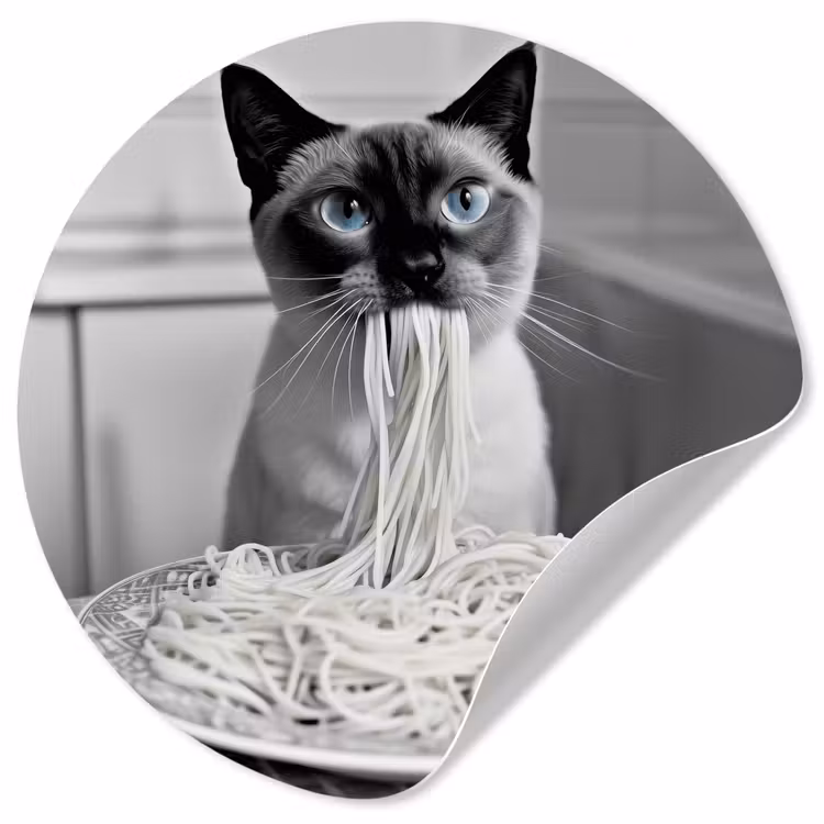 Behangcirkel - Kat - Siamees - Zwart Wit - Schattig - Dieren — 1