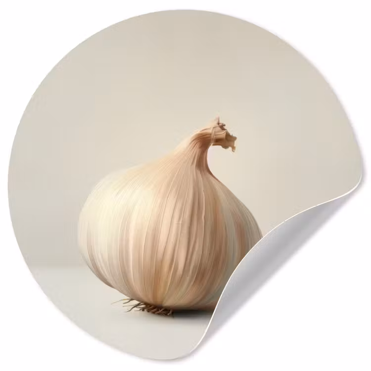 Behangcirkel - Knoflook - Natuurlijk - Beige — 1