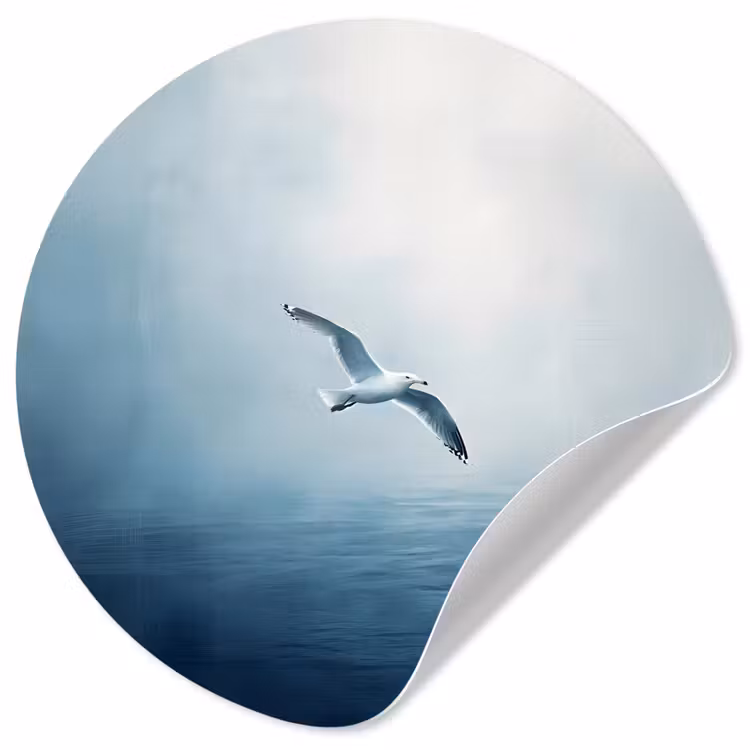 Behangcirkel - Meeuw - Wit - Zee - Mistig — 1