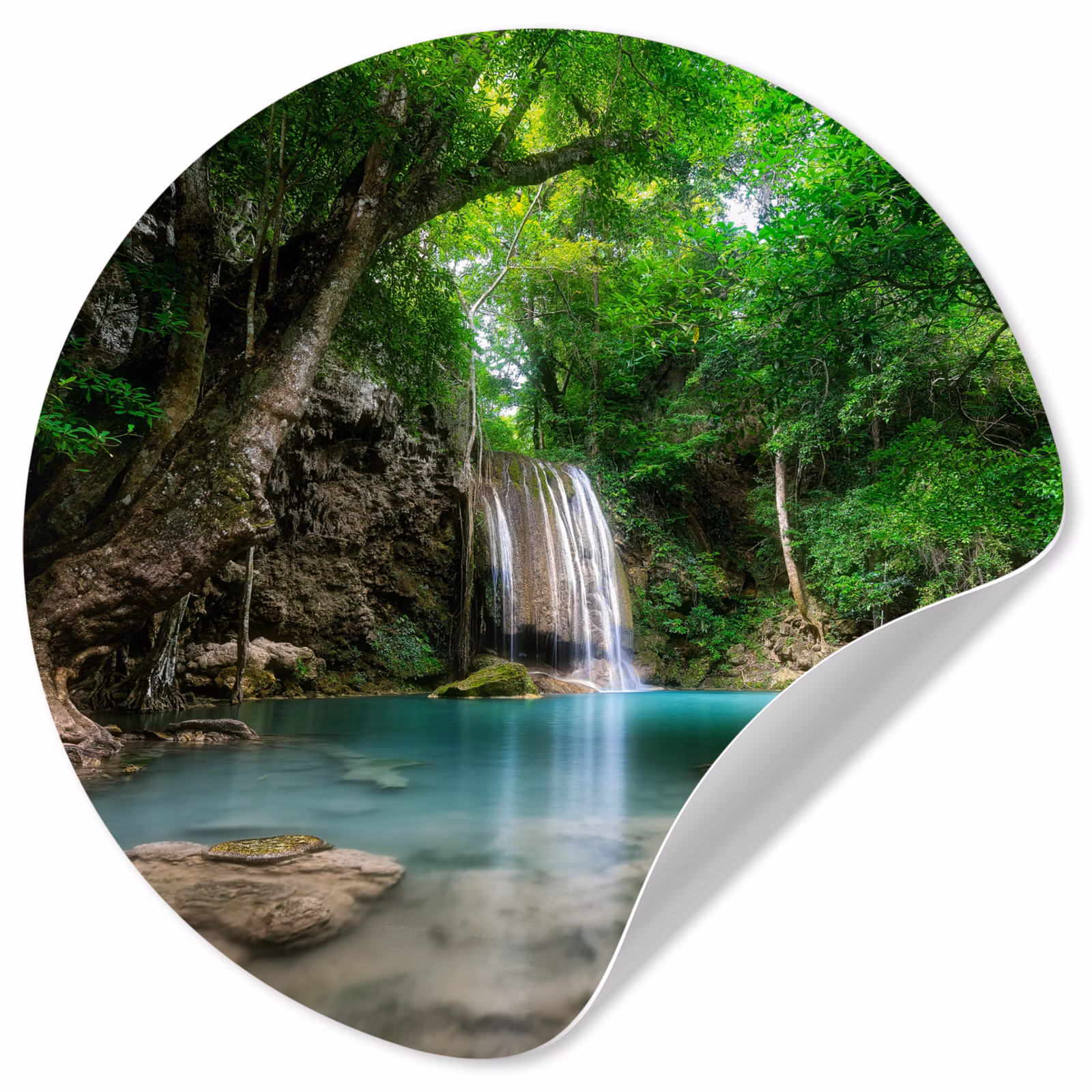 Behangcirkel - Jungle - Waterval - Planten - Water - Natuur — 1