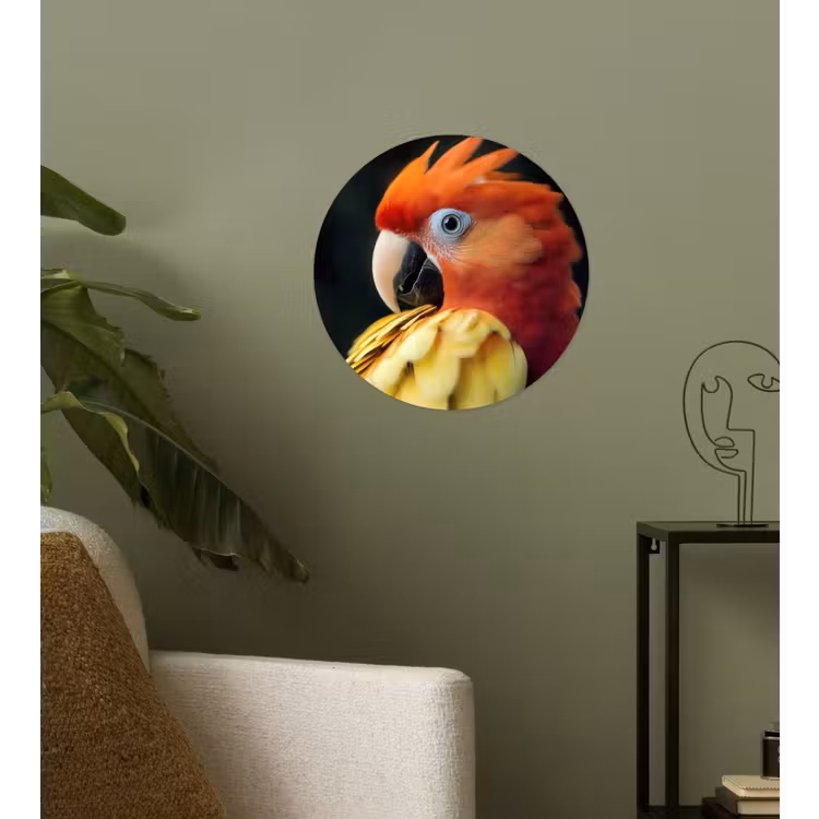 Behangcirkel - Close-up - Papegaai - Veren - Oranje — 3