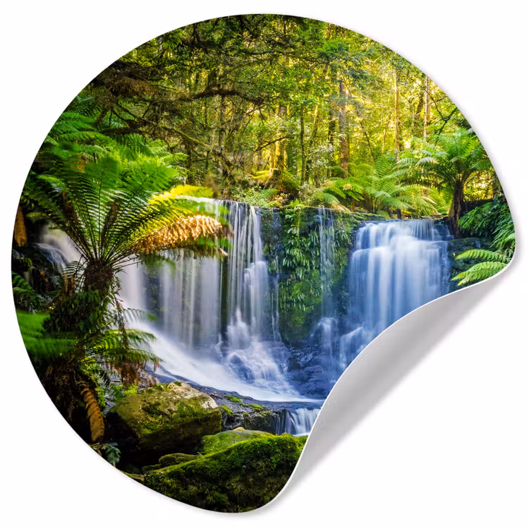 Behangcirkel - Jungle - Waterval - Australië - Planten - Natuur — 1