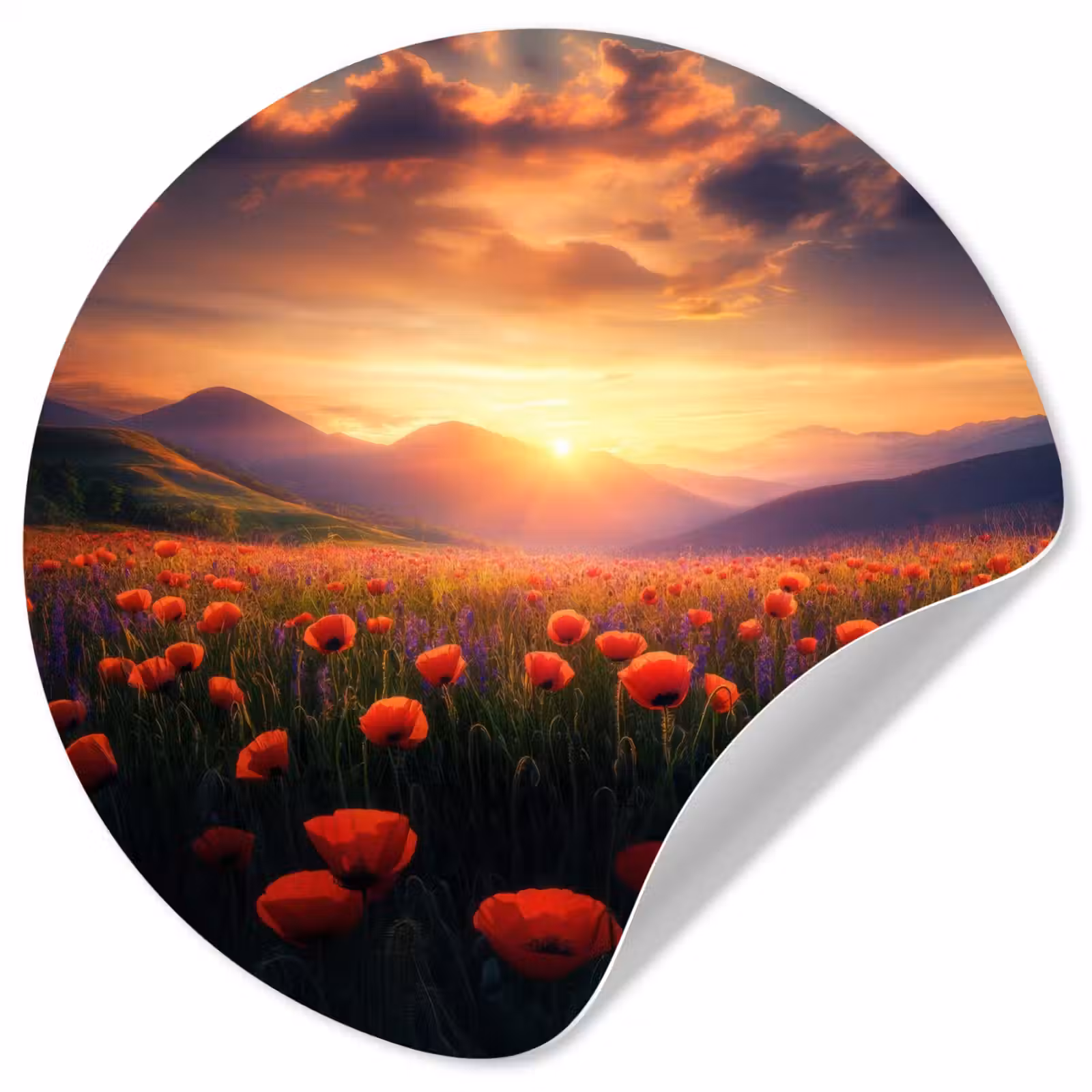 Behangcirkel - Landschap - Zonsondergang - Bloemenveld — 1