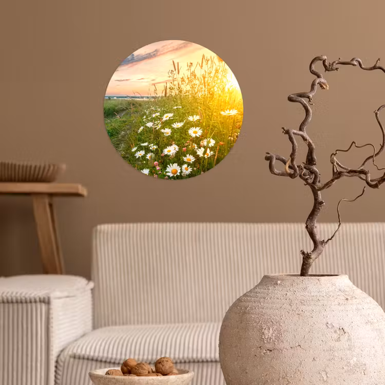 Behangcirkel - Bloemen - Madelief - Natuur - Zon - Horizon — 2