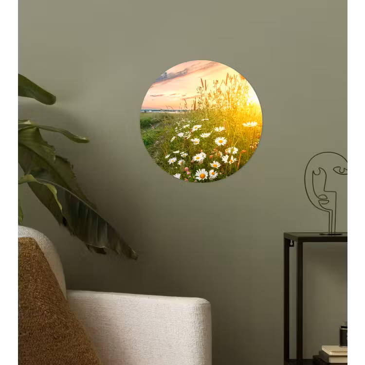 Behangcirkel - Bloemen - Madelief - Natuur - Zon - Horizon — 3