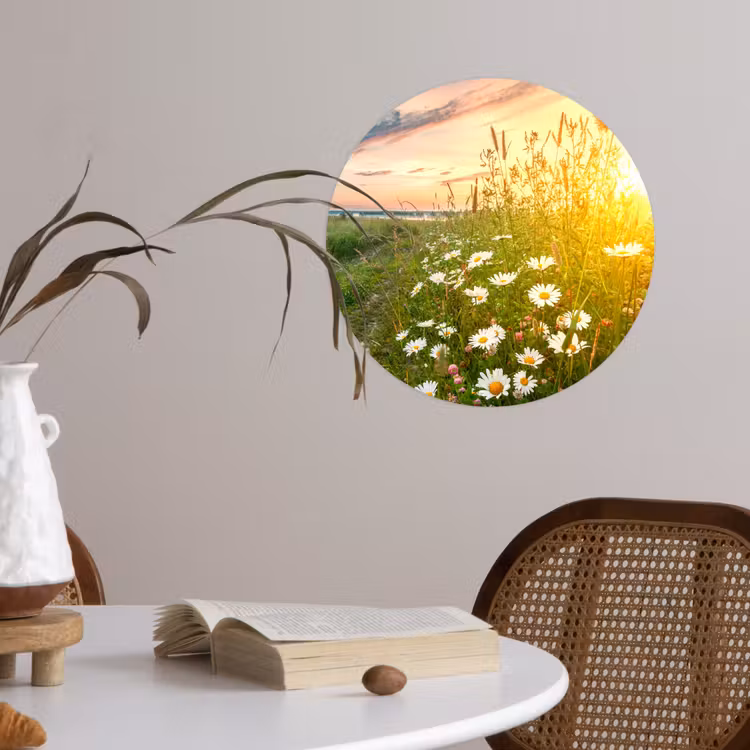 Behangcirkel - Bloemen - Madelief - Natuur - Zon - Horizon — 4