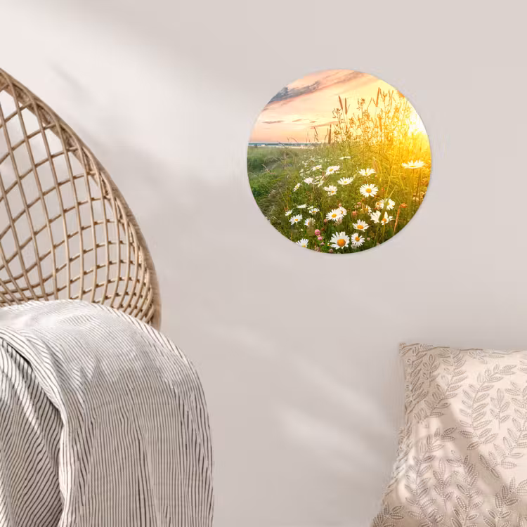 Behangcirkel - Bloemen - Madelief - Natuur - Zon - Horizon — 5