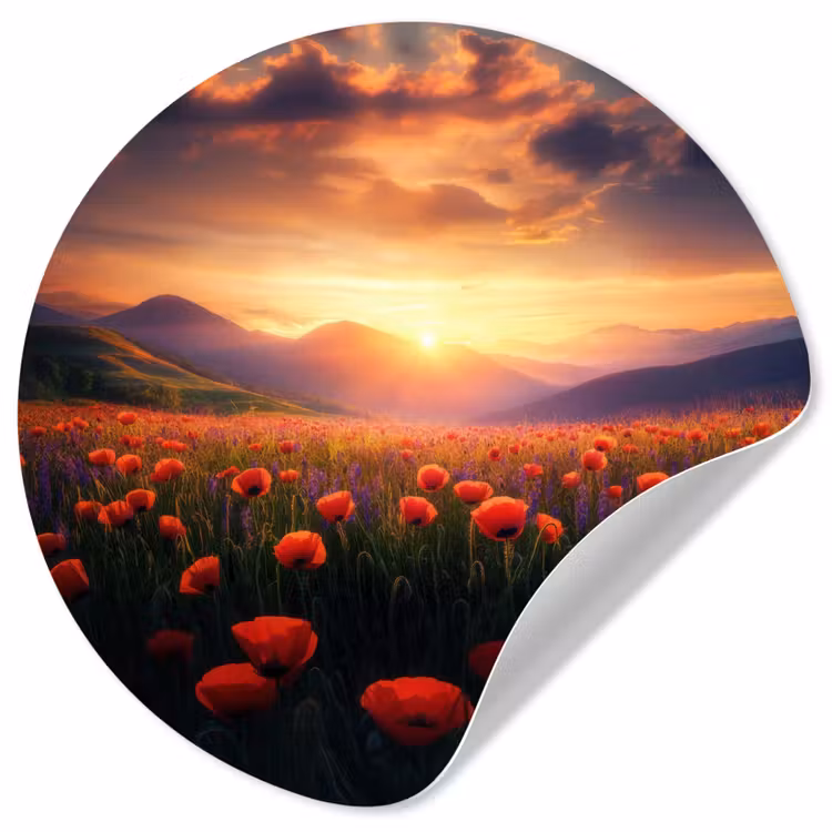 Behangcirkel - Landschap - Zonsondergang - Bloemenveld — 1